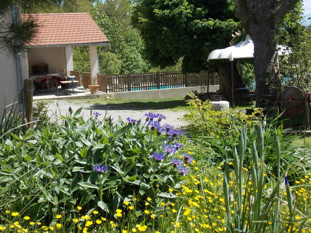 A La Mare Du Vieux Chene Bed & Breakfast Bellegarde-Poussieu Екстериор снимка